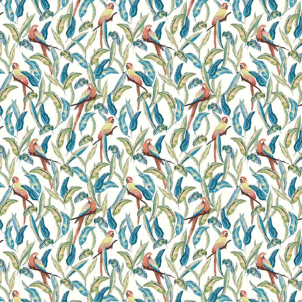 Tropical Parrot Wallpaper