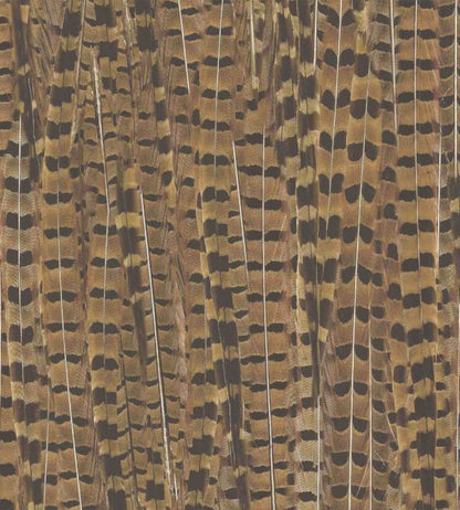 WM-080R - Pheasant Wallpaper - Brown - Woodchip & Magnolia
