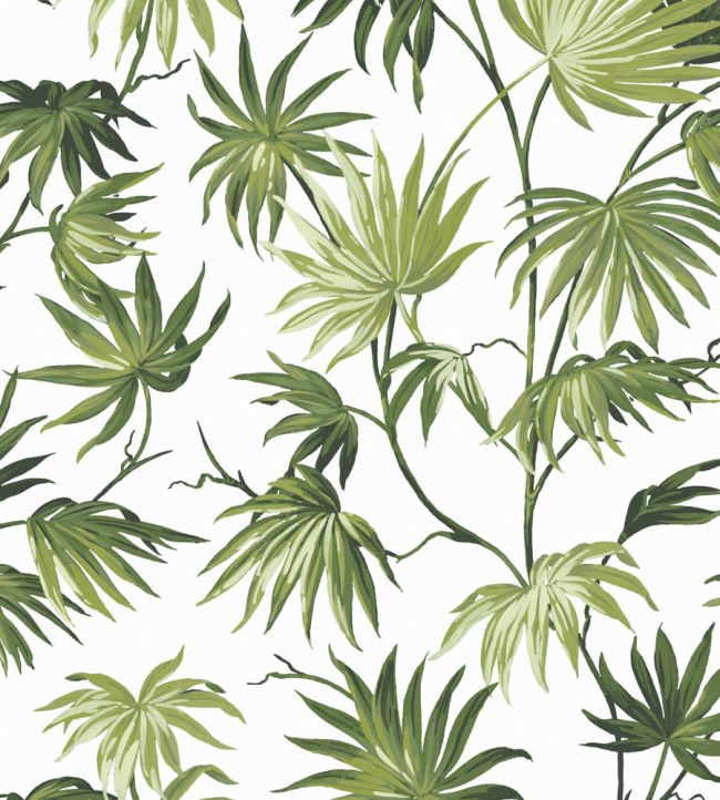 WM-225-06R - Va Va Frome Wallpaper - Meadow Green - Woodchip & Magnolia
