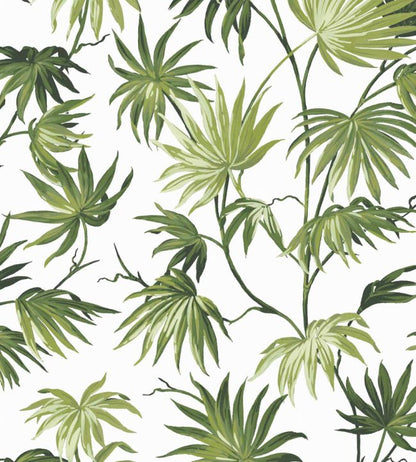 WM-225-06R - Va Va Frome Wallpaper - Meadow Green - Woodchip & Magnolia
