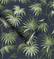 WM-225-07R - Va Va Frome Wallpaper - Noir Green - Woodchip & Magnolia
