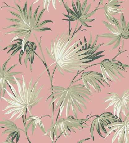 WM-225R - Va Va Frome Wallpaper - Powder Pink - Woodchip & Magnolia
