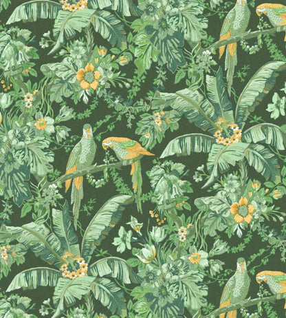 WM-322-02R - Parrot Talk Wallpaper - Lush Green - Woodchip & Magnolia
