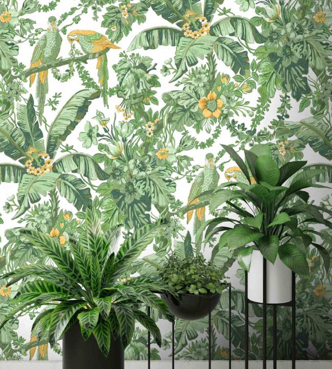 WM-322-05R - Parrot Talk Wallpaper - Lush Green White - Woodchip & Magnolia
