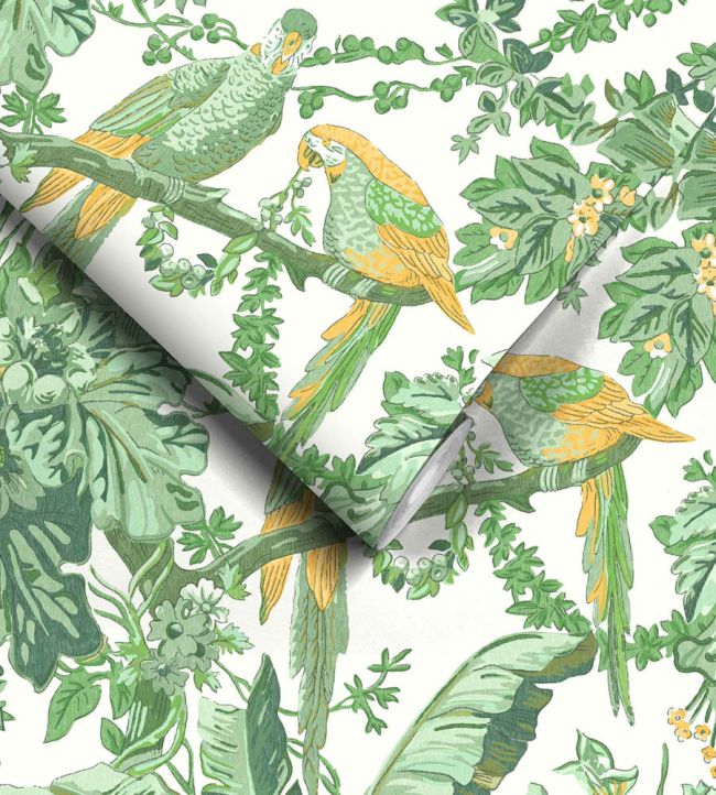 WM-322-05R - Parrot Talk Wallpaper - Lush Green White - Woodchip & Magnolia
