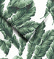 WM-365-04R - Lets Go Bananas Wallpaper - Green - Woodchip & Magnolia
