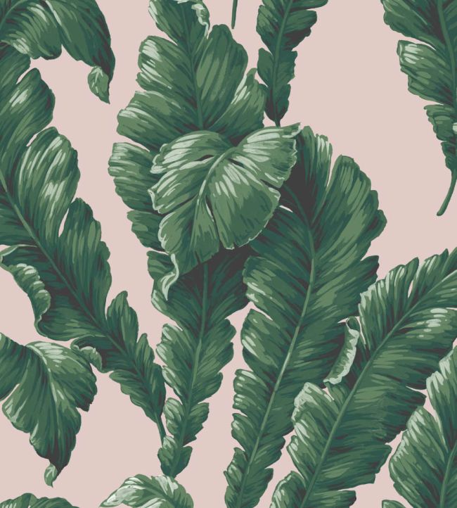 WM-365-05R - Lets Go Bananas Wallpaper - Green Blush - Woodchip & Magnolia
