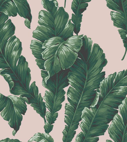 WM-365-05R - Lets Go Bananas Wallpaper - Green Blush - Woodchip & Magnolia
