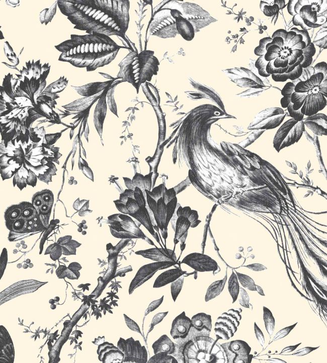 WM-368-01-3P - Plumage Wallpaper -  Mural - Charcoal Cream - Woodchip & Magnolia
