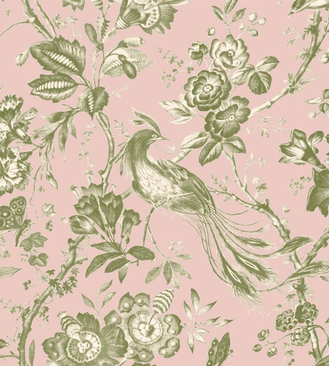 WM-368-03-3P - Plumage Wallpaper -  Mural - Plaster Pink Cream - Woodchip & Magnolia
