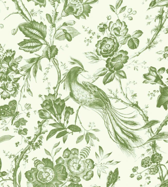 WM-368-05-3P - Plumage Wallpaper -  Mural - Green - Woodchip & Magnolia
