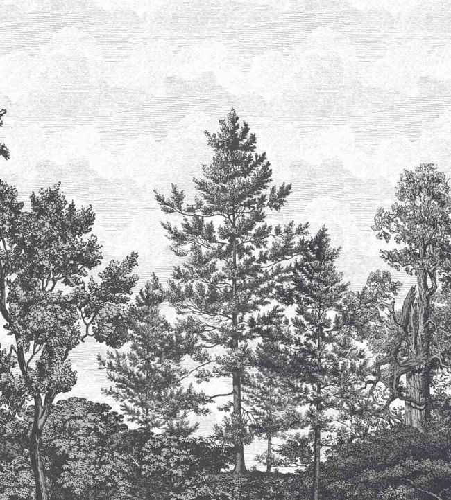 WM-388-06RM - Heaton Park Wallpaper - Mural - Charcoal - Woodchip & Magnolia