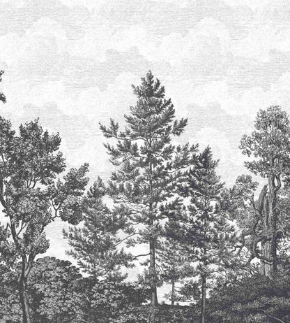 WM-388-06RM - Heaton Park Wallpaper - Mural - Charcoal - Woodchip & Magnolia