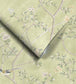 WM-454-07R - Chinoiserie Onism Wallpaper -  Mural - Olive Green  - Woodchip & Magnolia
