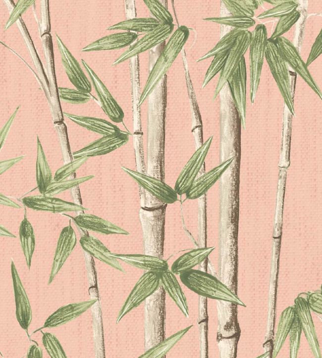 WMF-397-03VD - Bamboozle Fabric - Salmon - Woodchip & Magnolia
