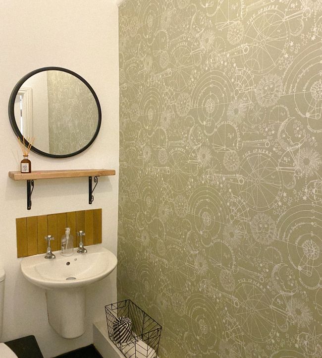 Stargazer Room Wallpaper - Green