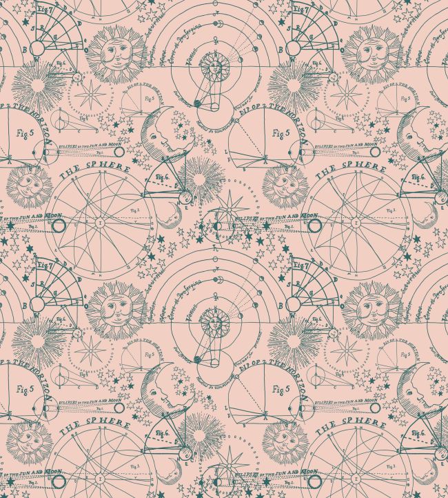 Stargazer Wallpaper - Pink