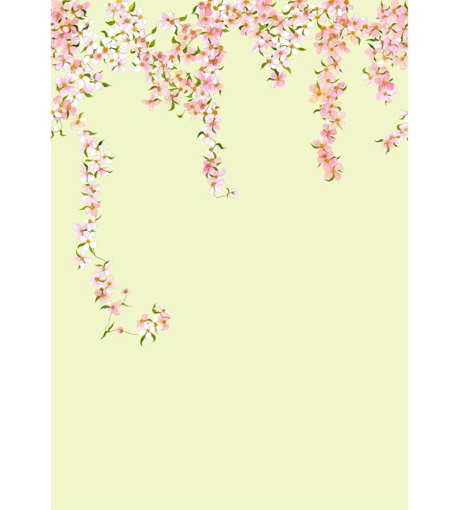 Clematis Wallpaper Mural - Pink