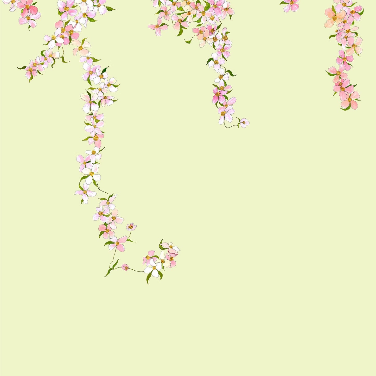 Clematis Wallpaper Mural