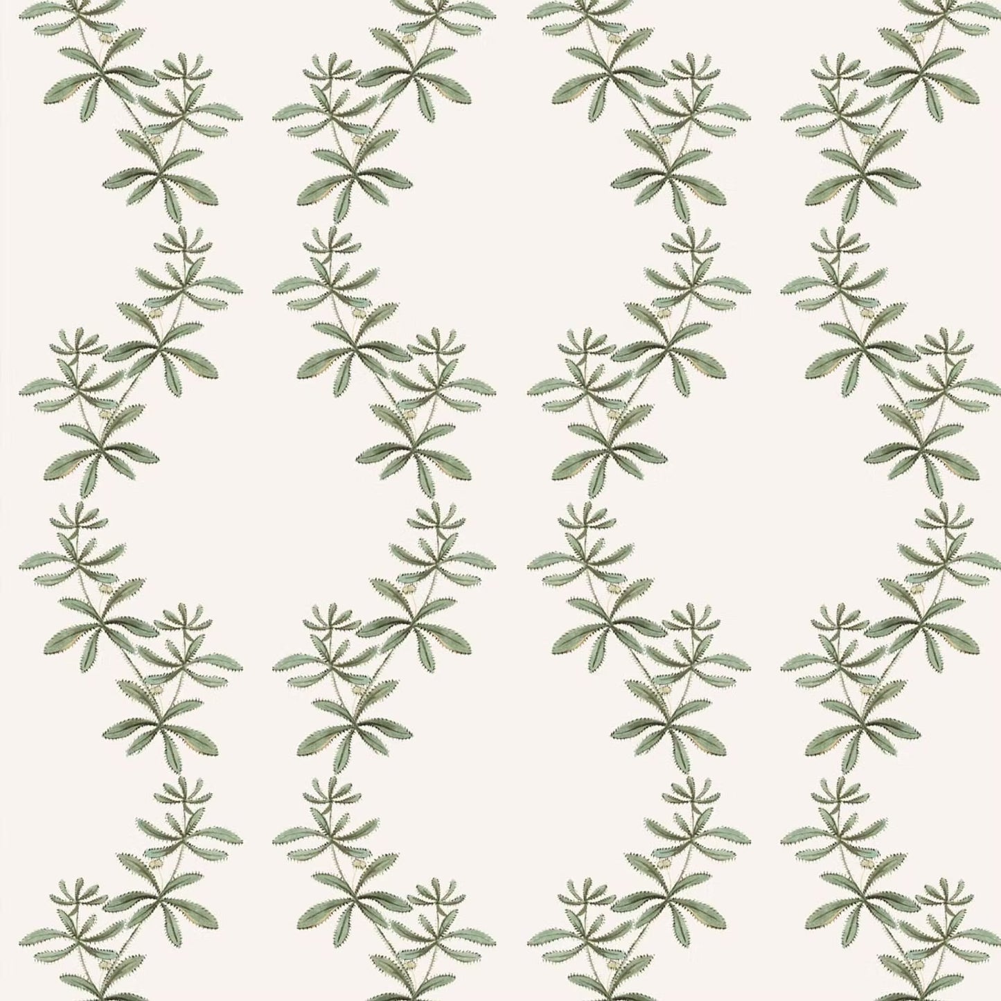 Catchweed Wallpaper