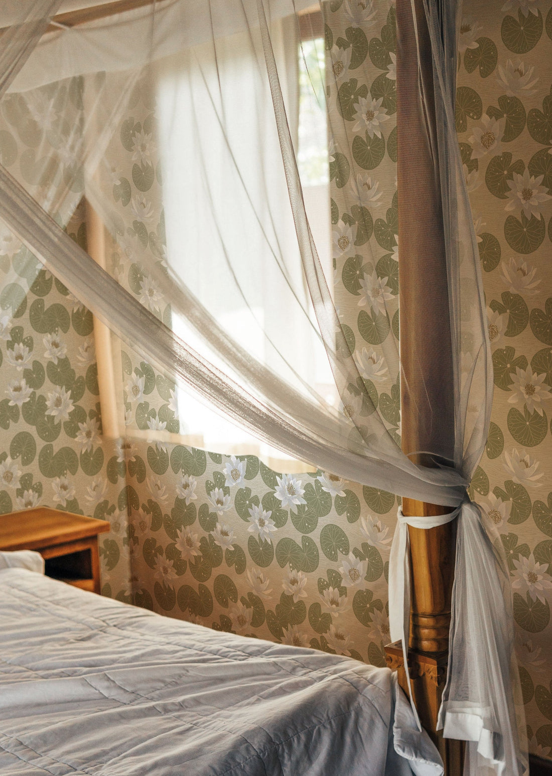 Water Lilies Wallpaper - Green - Summer Gray
