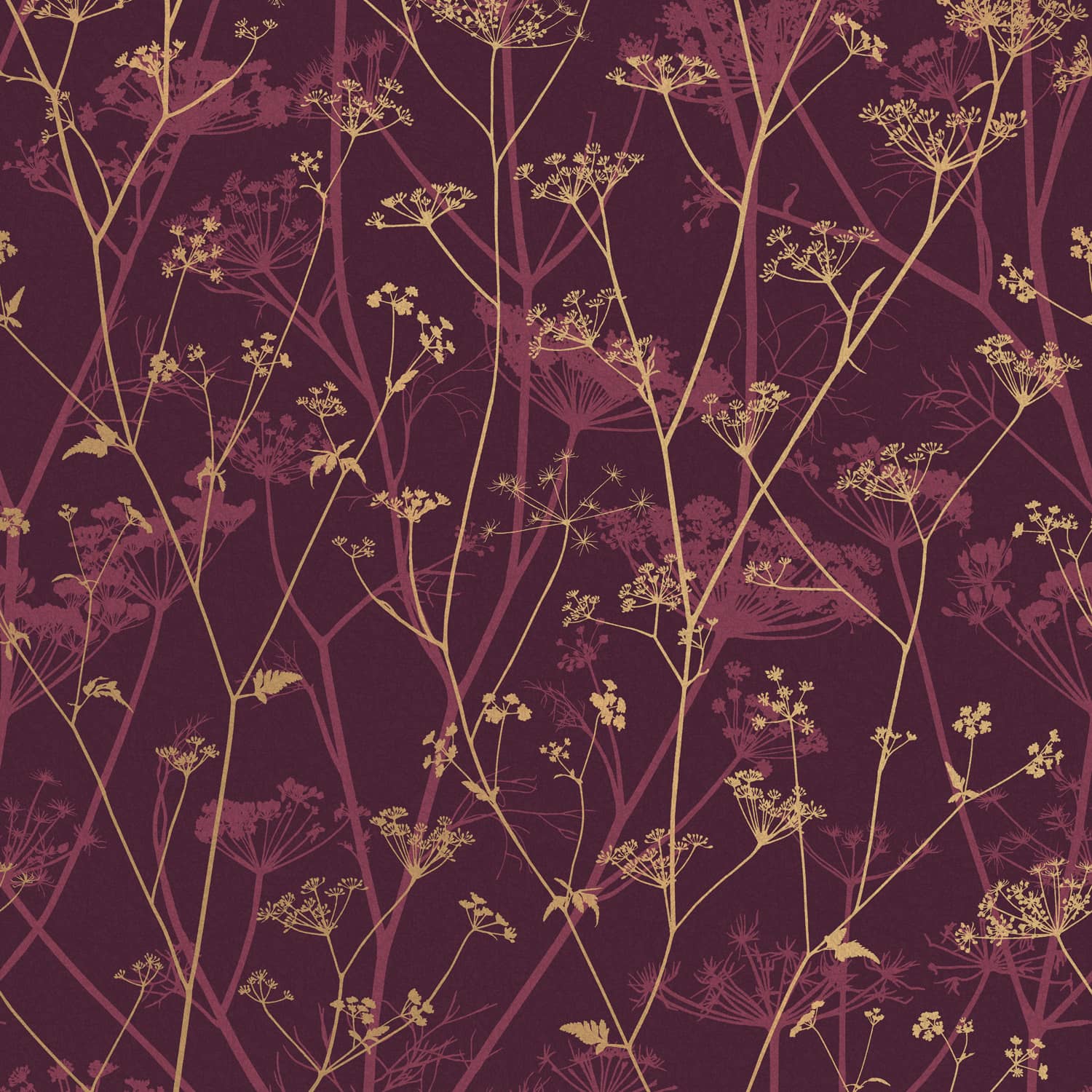 Wild Chervil Wallpaper - Damson & Gold - Clarissa Hulse