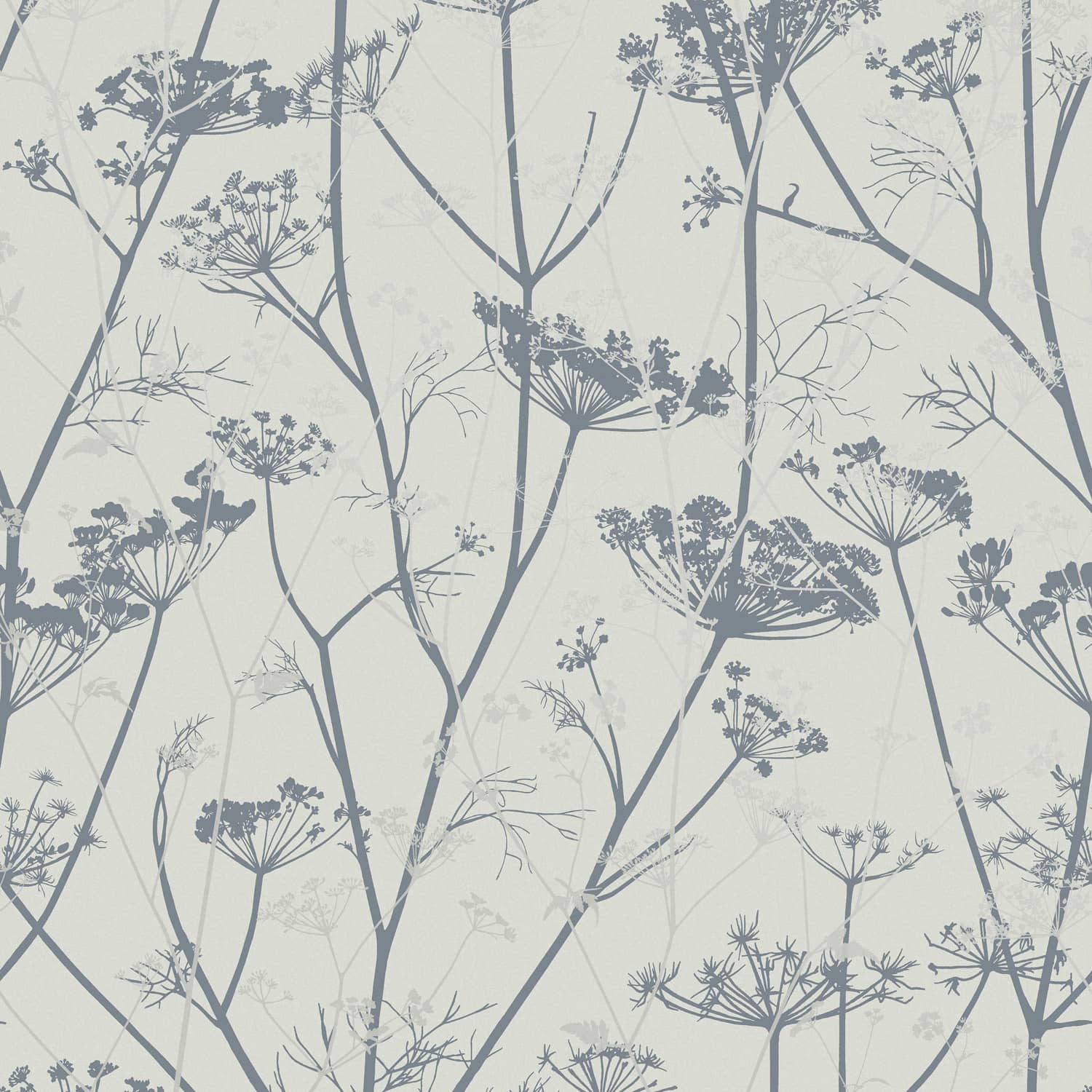 Wild Chervil Wallpaper - Dove & Silver - Clarissa Hulse