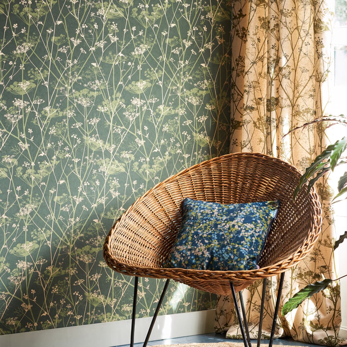 Wild Chervil Wallpaper - Sage & Gold - Clarissa Hulse