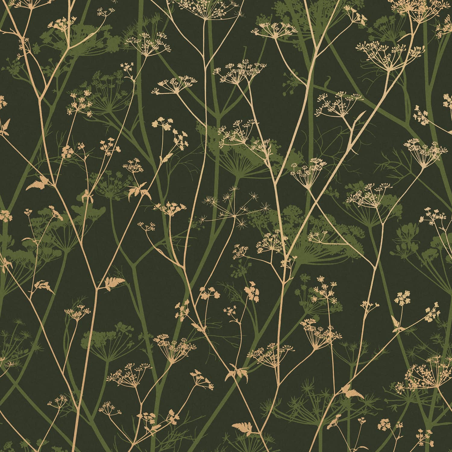 Wild Chervil Wallpaper - Sage & Gold - Clarissa Hulse