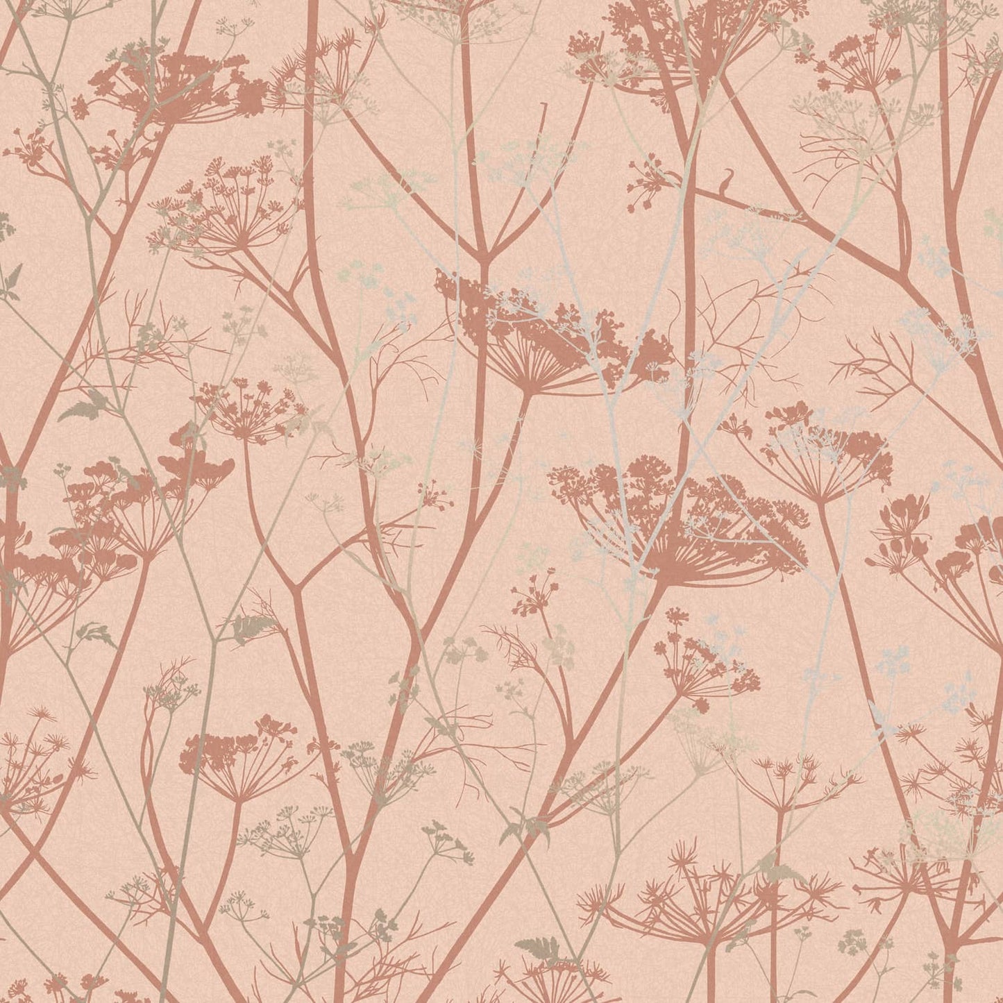 Wild Chervil Wallpaper - Shell & Rose Gold - Clarissa Hulse