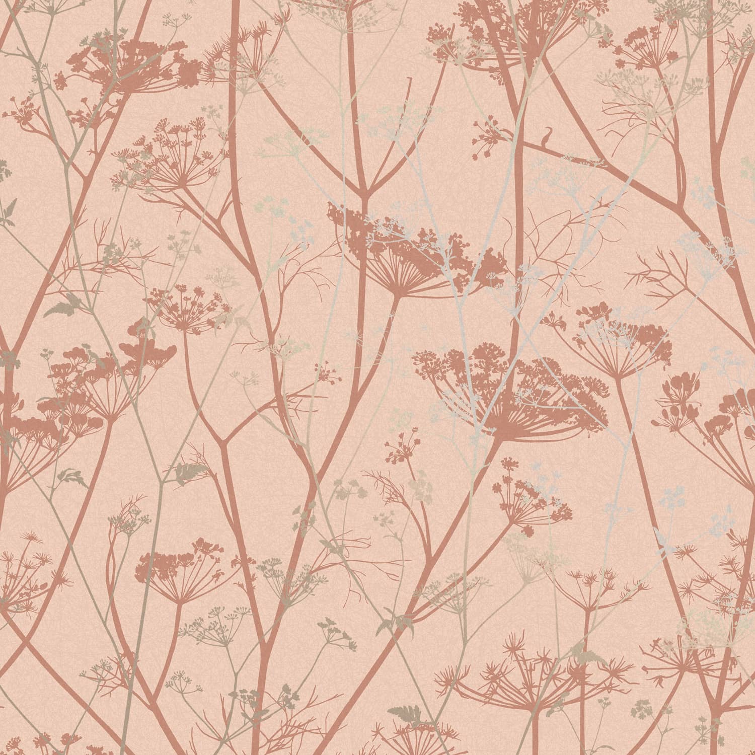 Wild Chervil Wallpaper - Shell & Rose Gold - Clarissa Hulse
