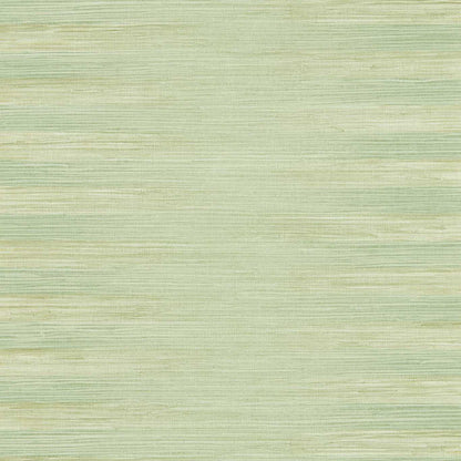 Kensington Grasscloth Wallpaper - Evergreen - ZHIW313008