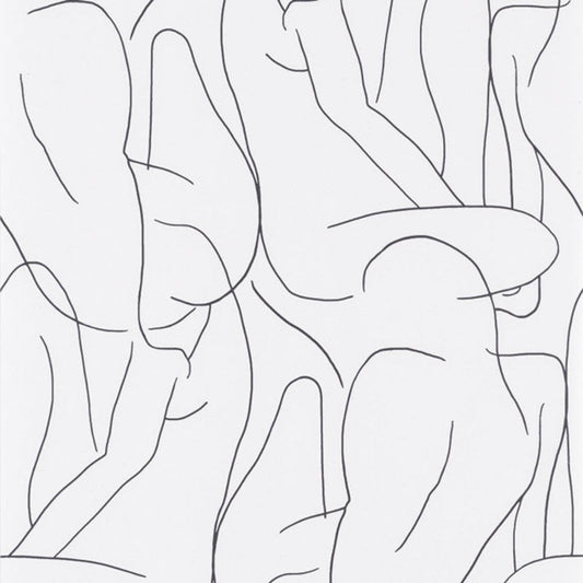Academie Gallery Wallpaper - Noir And Blanc - Casadeco - 86100522 - Premier Wallcovering