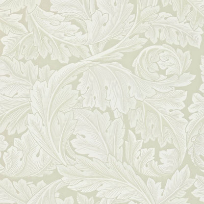 Acanthus Wallpaper - Chalk - 212554 - Morris & Co - Premier Wallcovering