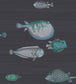 Acquario Wallpaper - Ink - 114/16032 - Cole & Son - Premier Wallcovering