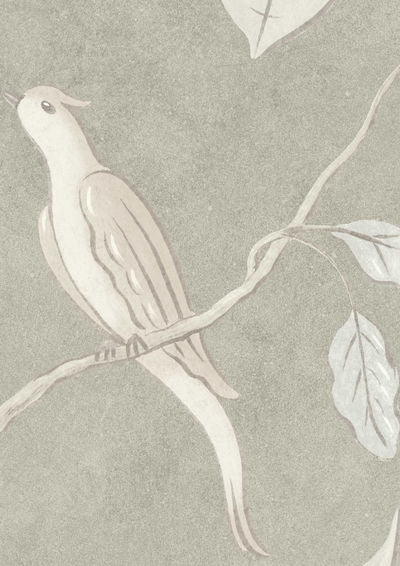 Adam's Eden Wallpaper - Pumice - Lewis & Wood - Premier Wallcovering