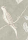Adam's Eden Wallpaper - Pumice - Lewis & Wood - Premier Wallcovering