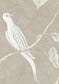 Adam's Eden Wallpaper - Roan - Lewis & Wood - Premier Wallcovering