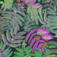 Albizia Botanica Wallpaper - Rose And Vert Foret - Casadeco - 85897490 - Premier Wallcovering