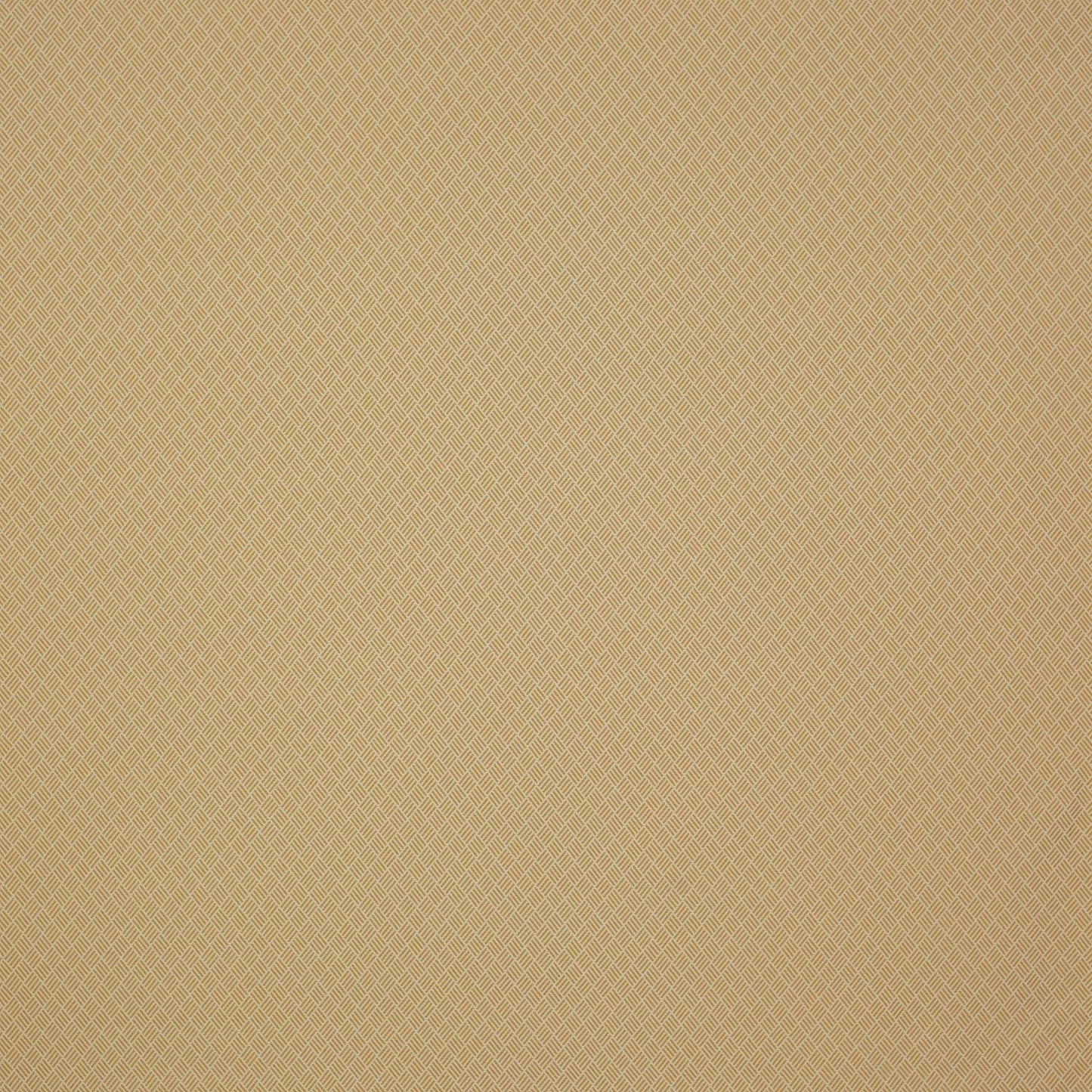 Amalfi Fabric - Camel - Manuel Canovas - 04891/01 - Premier Wallcovering