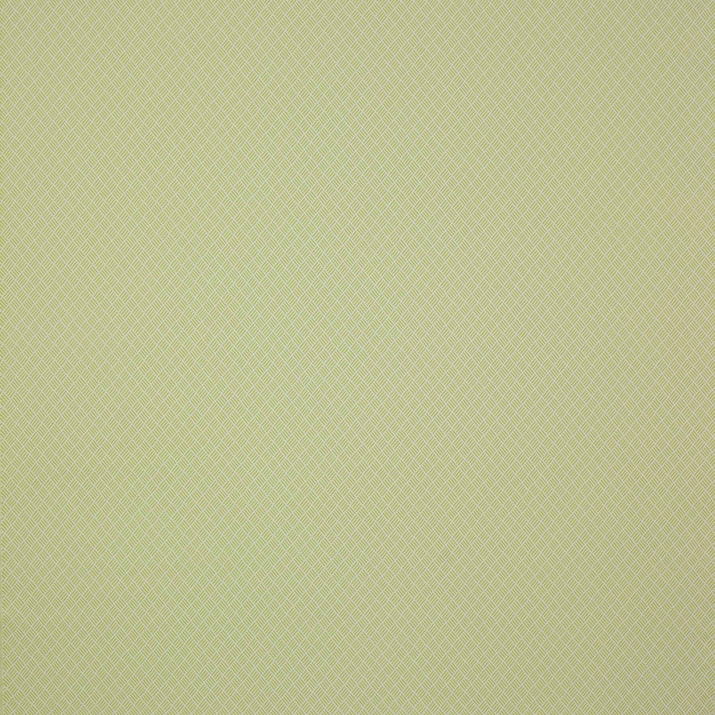 Amalfi Fabric - Anis - Manuel Canovas - 04891/05 - Premier Wallcovering