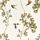Amazilia Wallpaper - Stone/Gold - HTEW112607 - Harlequin - Premier Wallcovering