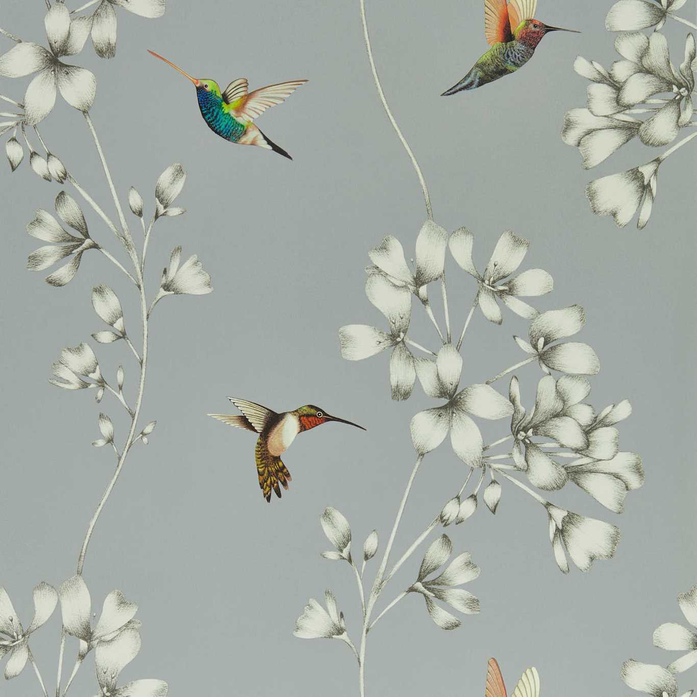Amazilia Wallpaper - French Grey/Stone - Harlequin - HTEW112605