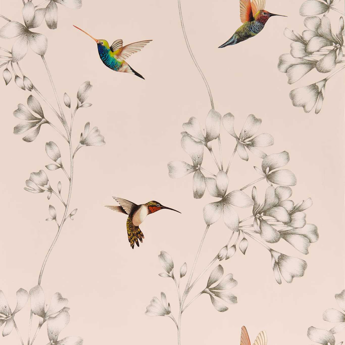 Amazilia Wallpaper - Powder/Pearl - Harlequin - HTEW112606