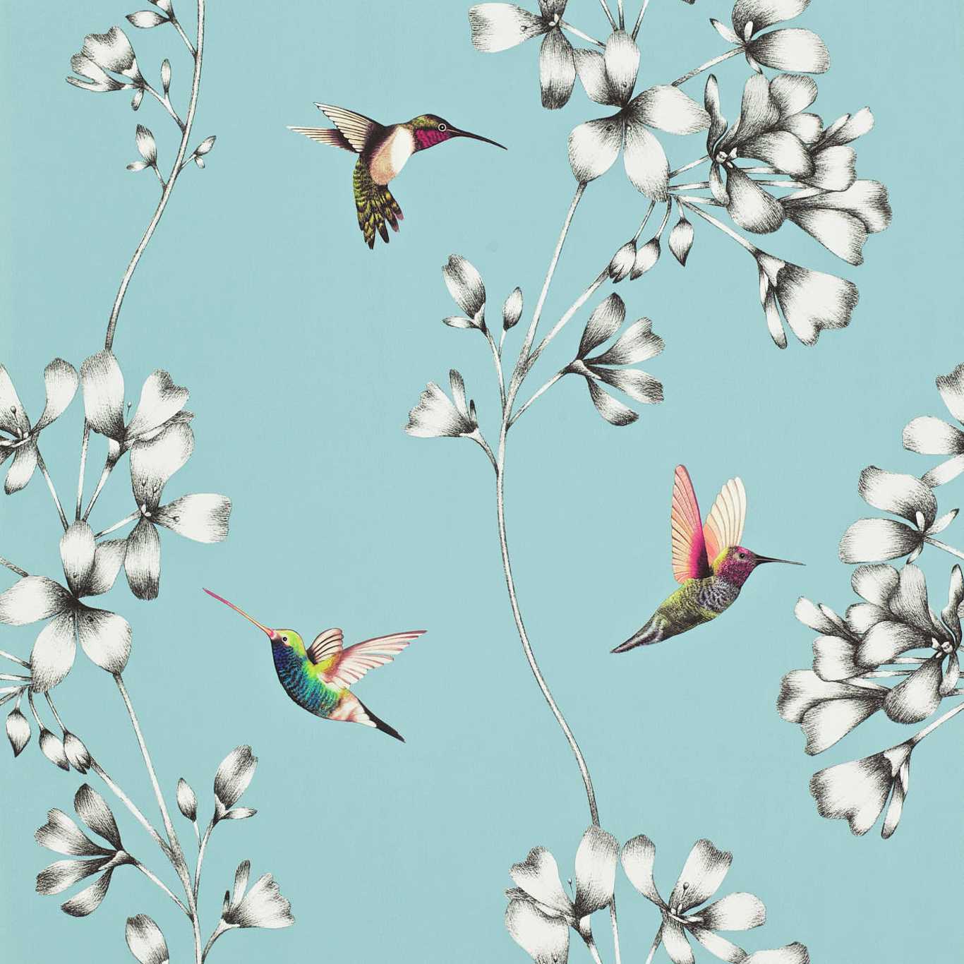 Amazilia Wallpaper - Sky - Harlequin - HAMA111060
