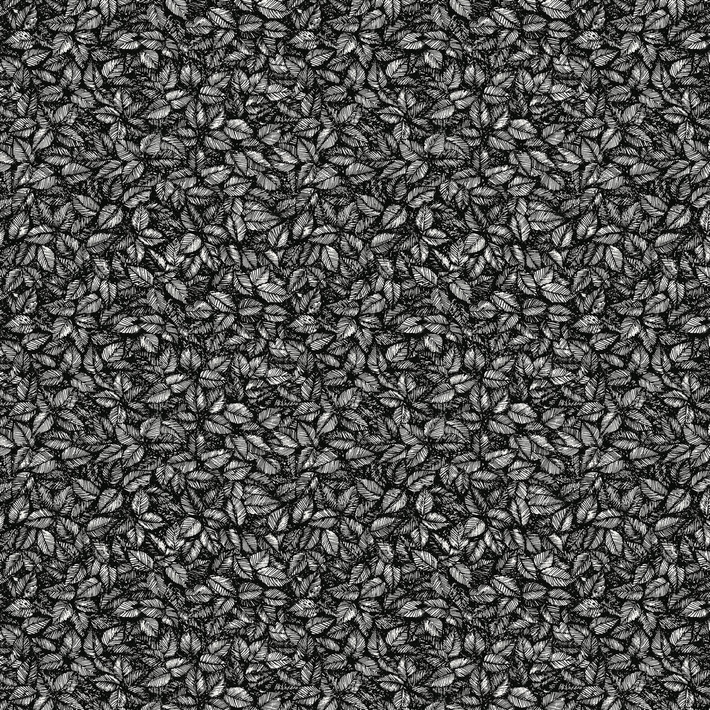 Amorina Wallpaper - Black & White - Boråstapeter - 1773 - Premier Wallcovering