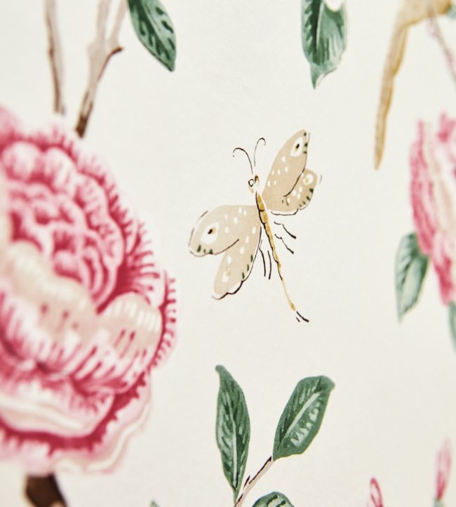 Andhara Wallpaper - Rose/Cream - DCPW216795 - Sanderson
