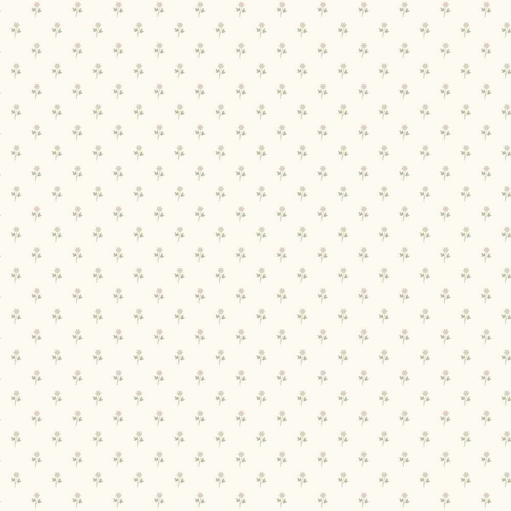 Anemone Wallpaper - Blush - Boråstapeter - 6973 - Premier Wallcovering
