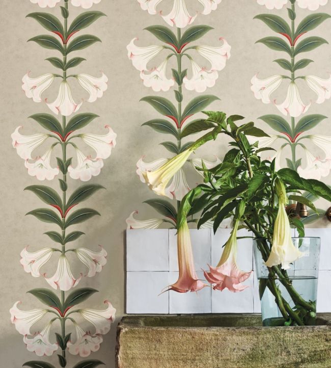 Angels Trumpet Wallpaper - Cream & Olive Green on Charcoal - 117/3006 - Cole & Son - Premier Wallcovering