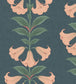 Angels Trumpet Wallpaper - Coral & Viridian on Ink - 117/3009 - Cole & Son - Premier Wallcovering
